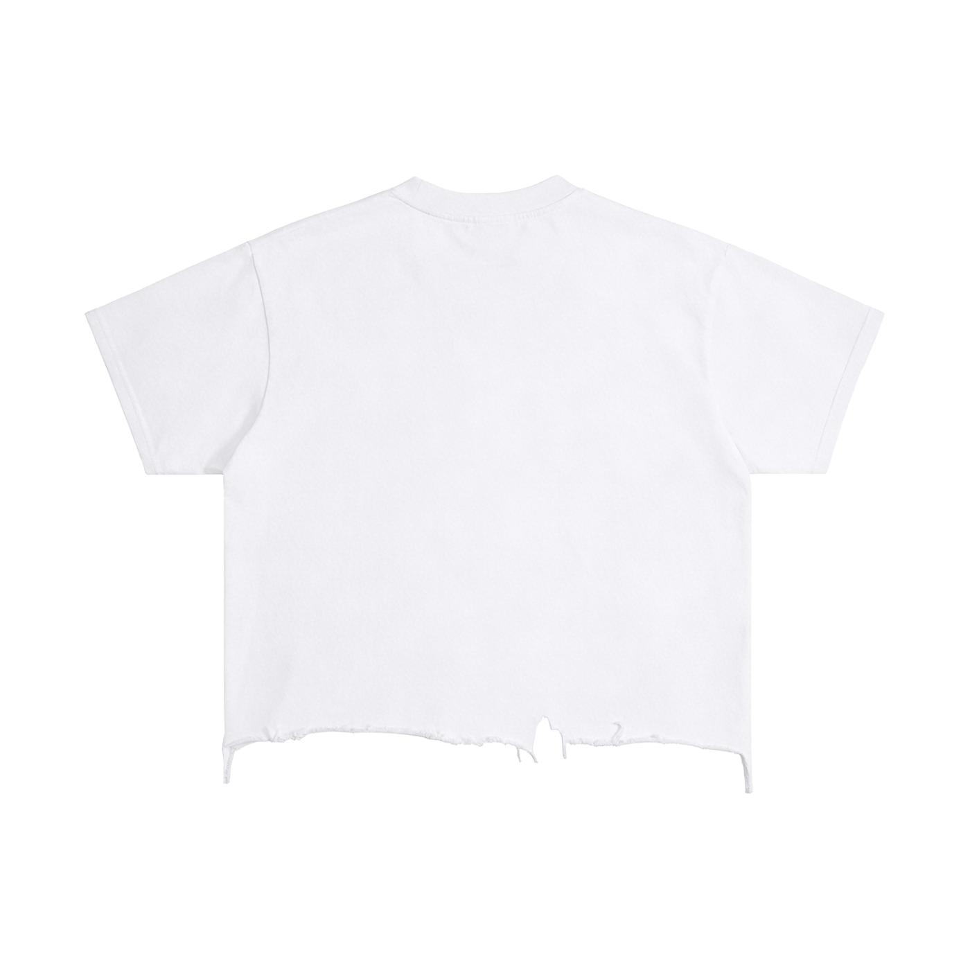 PSALM 37:4 DISTRESSED TEE